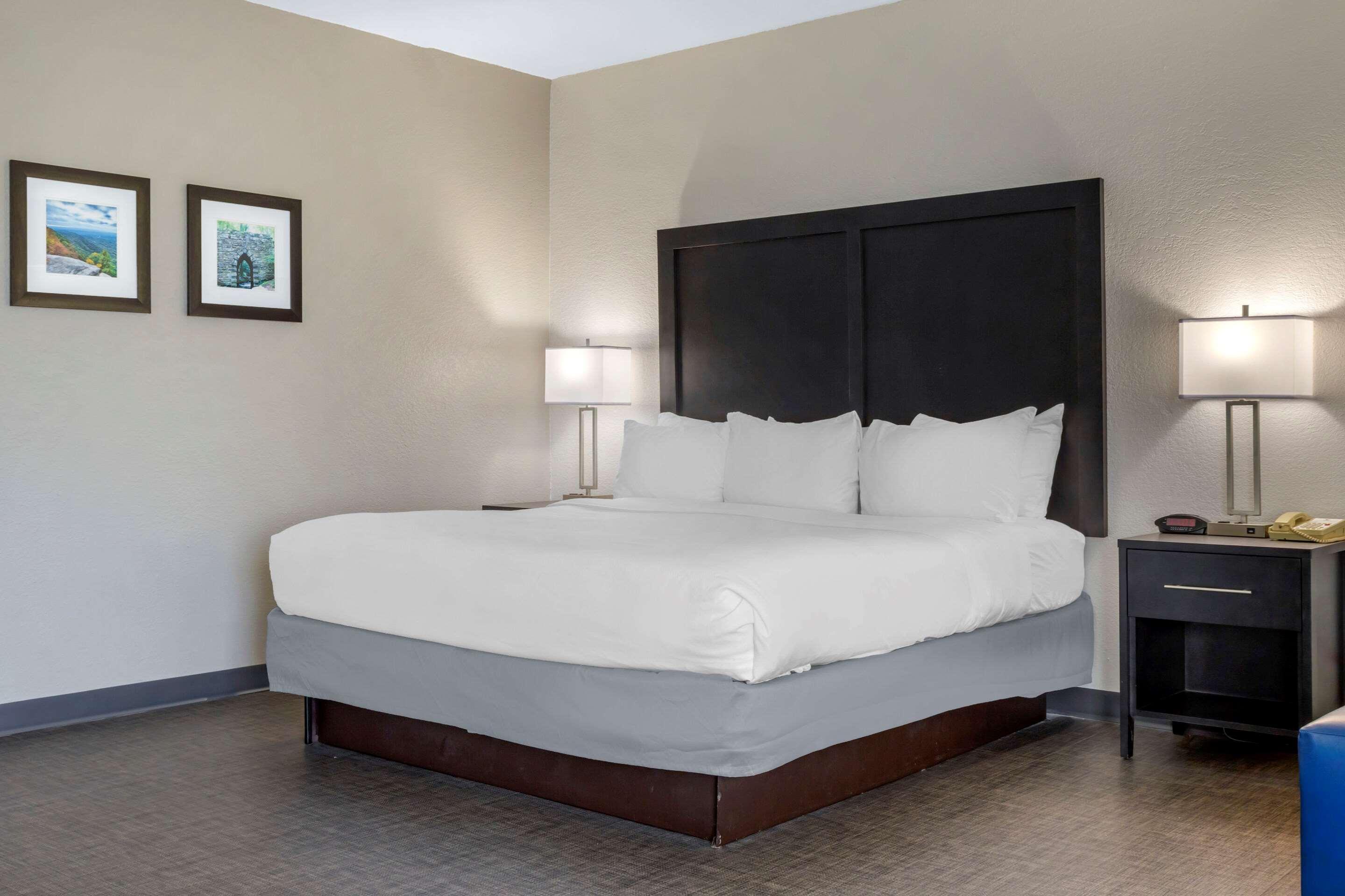 Comfort Inn & Suites Greer - Greenville Extérieur photo