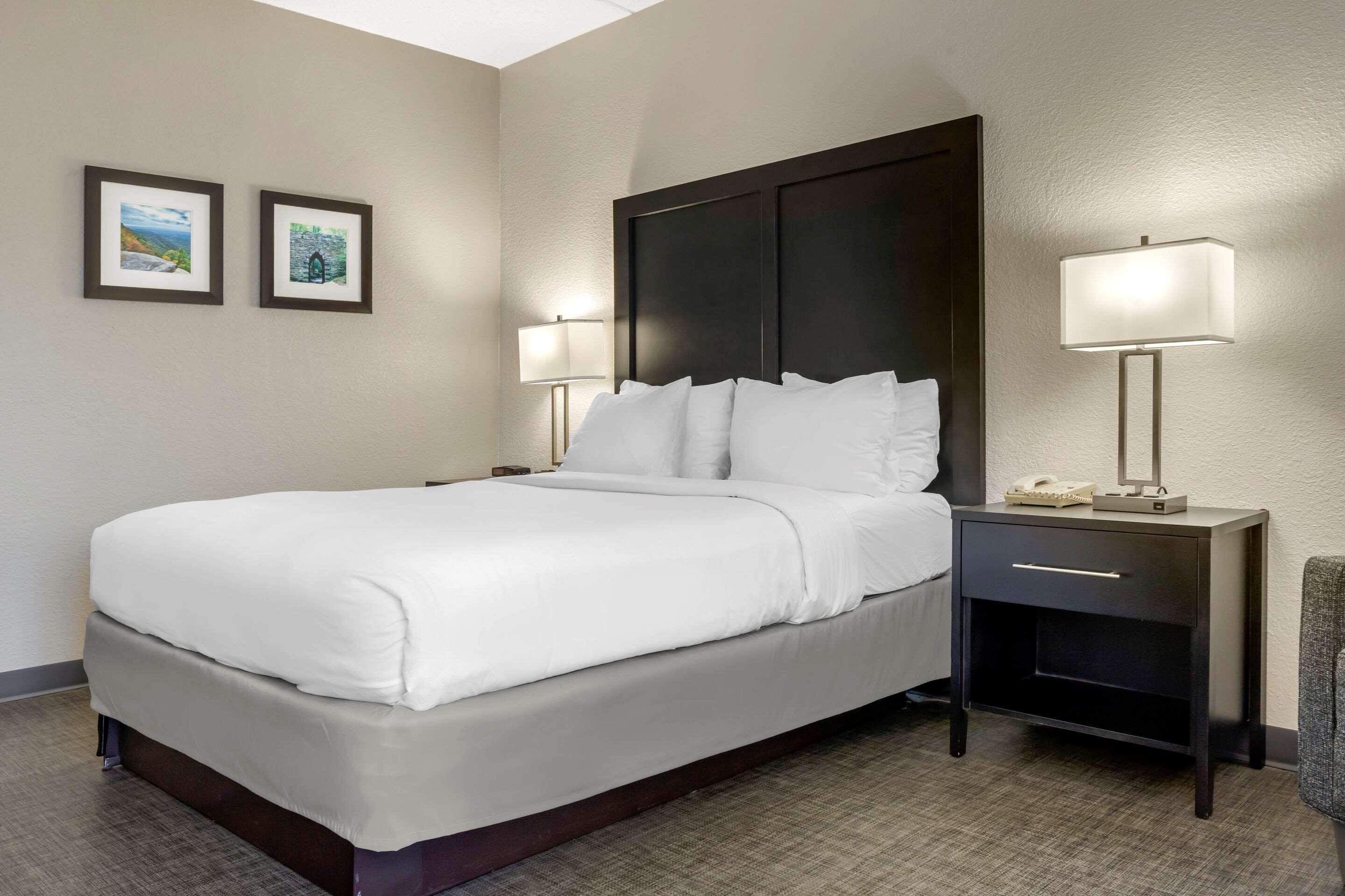 Comfort Inn & Suites Greer - Greenville Extérieur photo