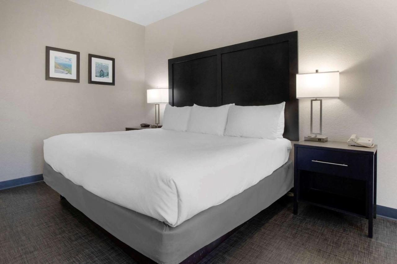 Comfort Inn & Suites Greer - Greenville Extérieur photo